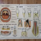 Affiche pédagogique Rossignol