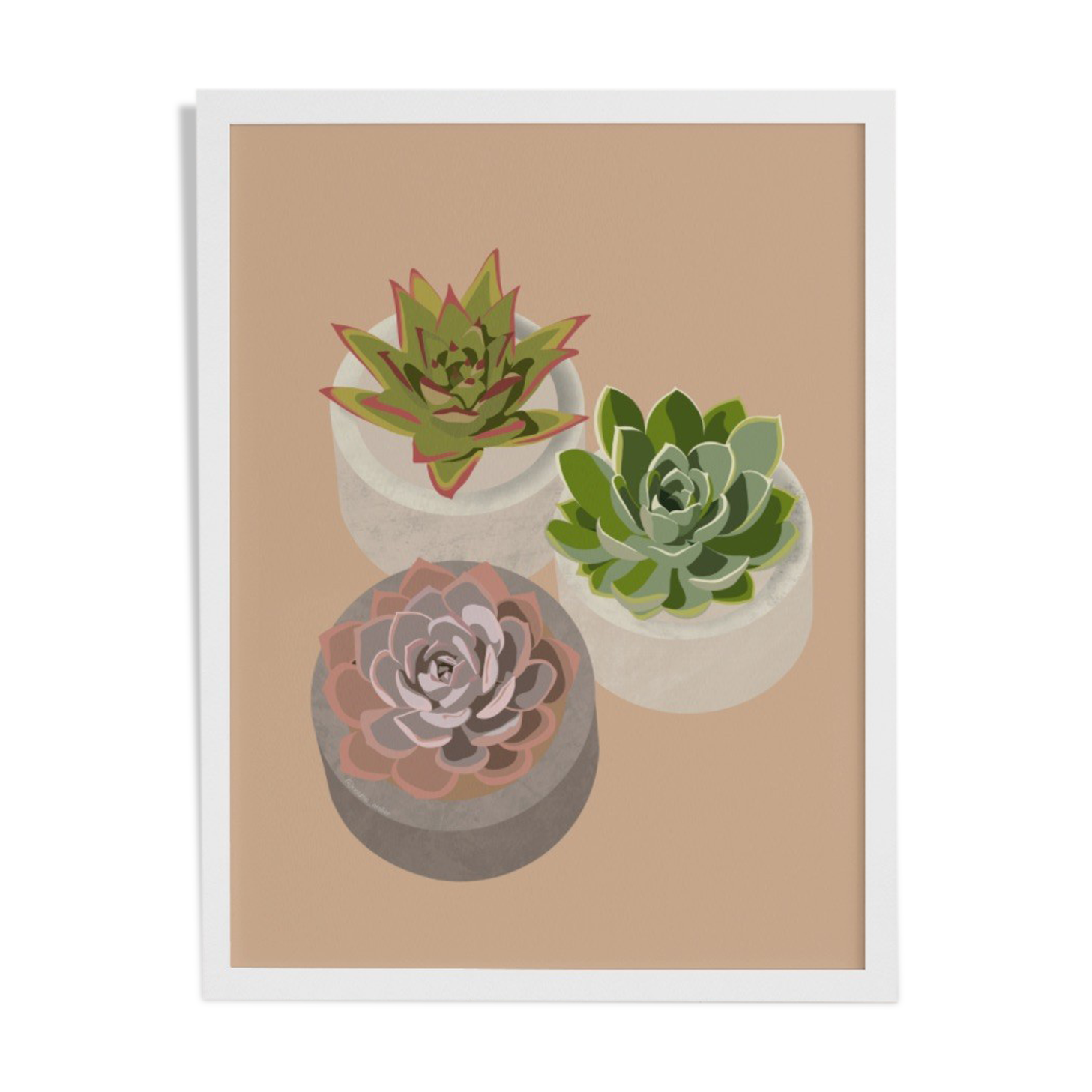 Illustration "Succulent Trio" by Noums Atelier