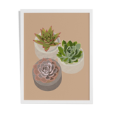 Illustration "Succulent Trio" by Noums Atelier