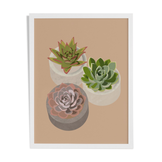 Illustration "Succulent Trio" by Noums Atelier