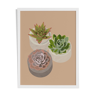 Illustration "Succulent Trio" by Noums Atelier