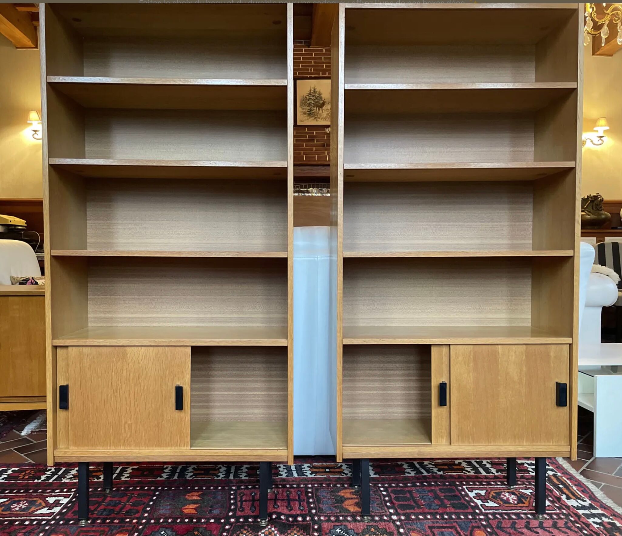 Paire de bibliothèques vintage