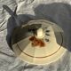 Antique Sarreguemines soup tureen with lid, rose pattern, D33 H28.