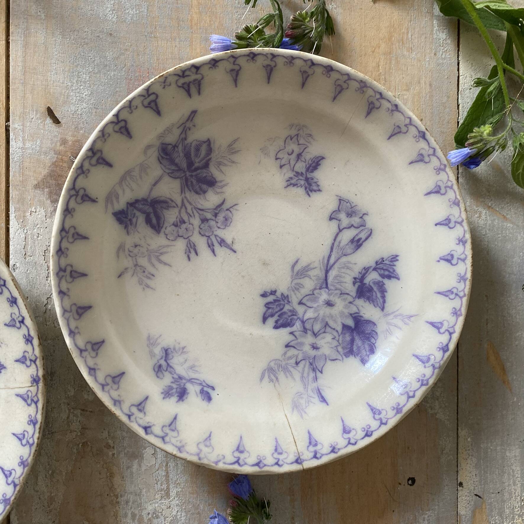 Assiettes en terre de fer décor Flore , coupelles  anciennes