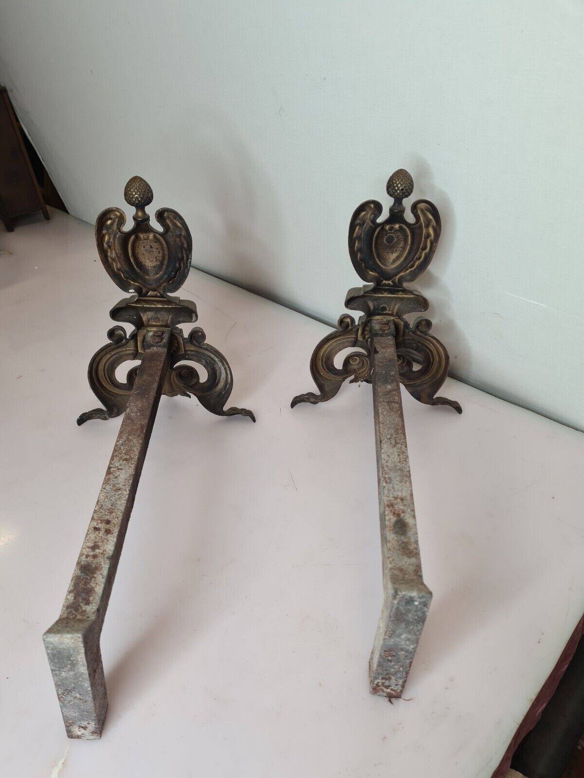 Pair of andirons for the bronze fireplace