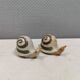 Ceramic snails as salt and pepper shakers, Denmark, 1970s-1980s