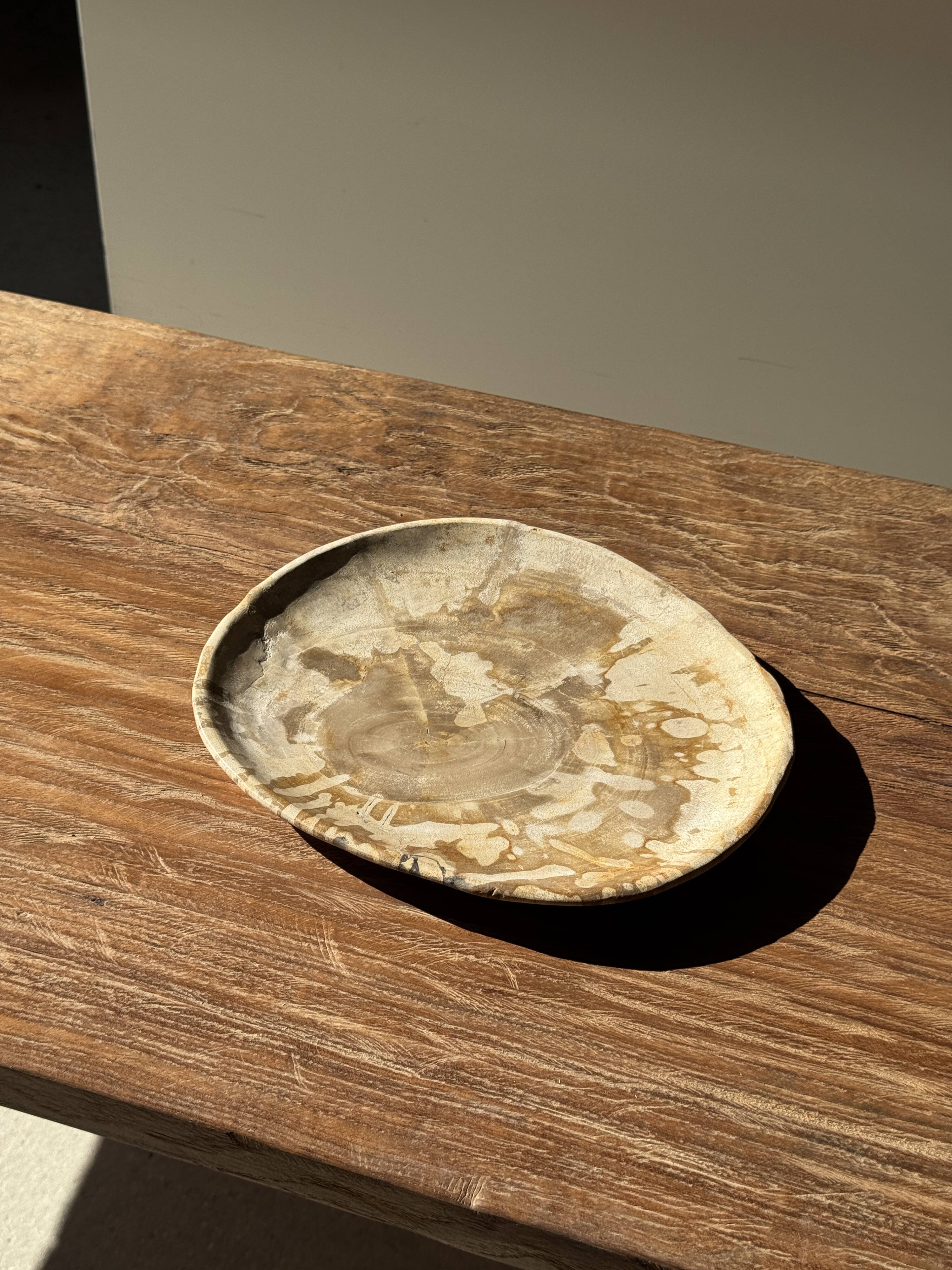 Small pocket tray or dish in speckled beige petrified wood D20 -3309