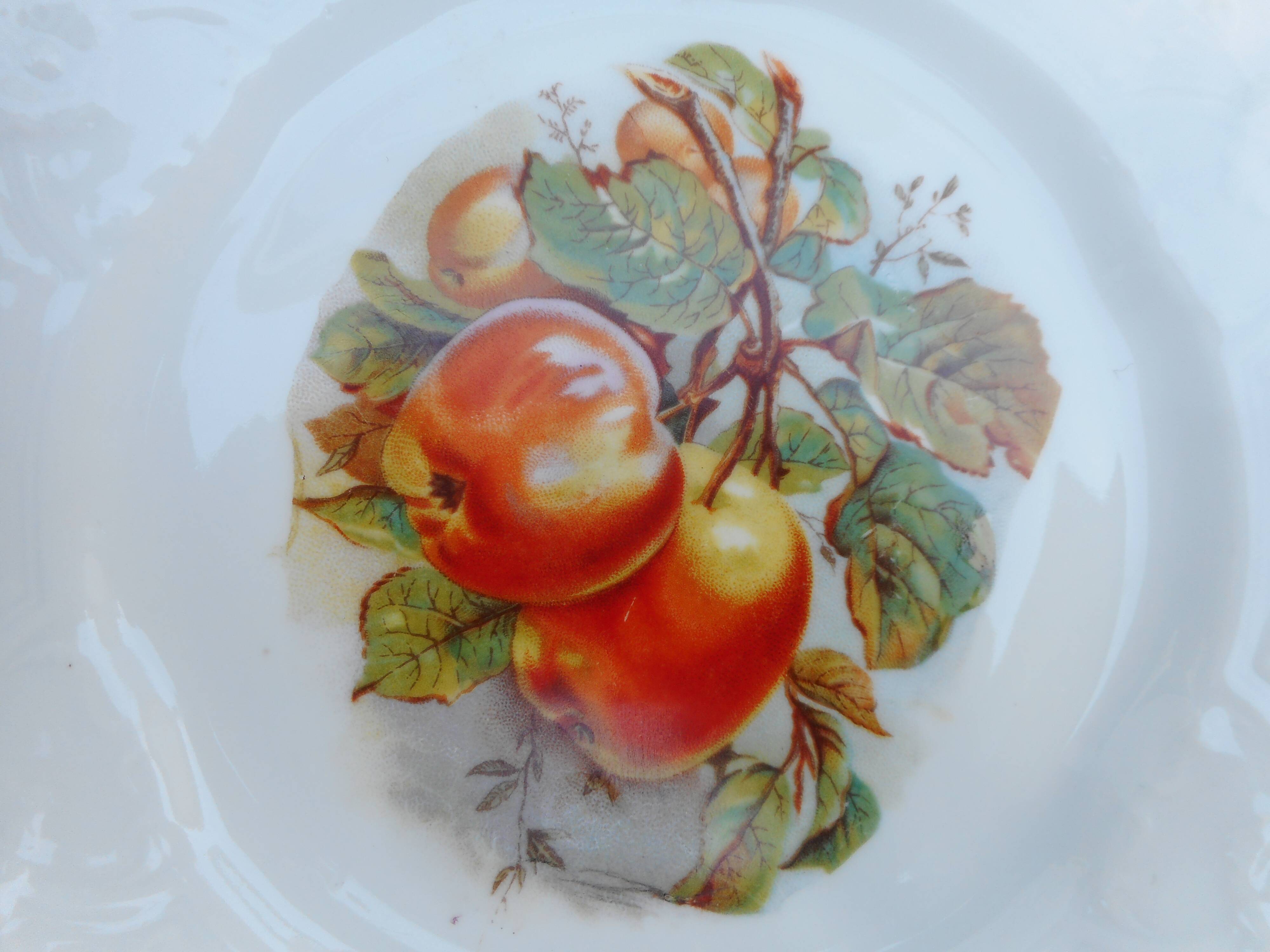 Lot of Six porcelain plates, fruit decoration