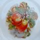 Lot of Six porcelain plates, fruit decoration