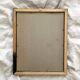 Vintage botanical lithograph