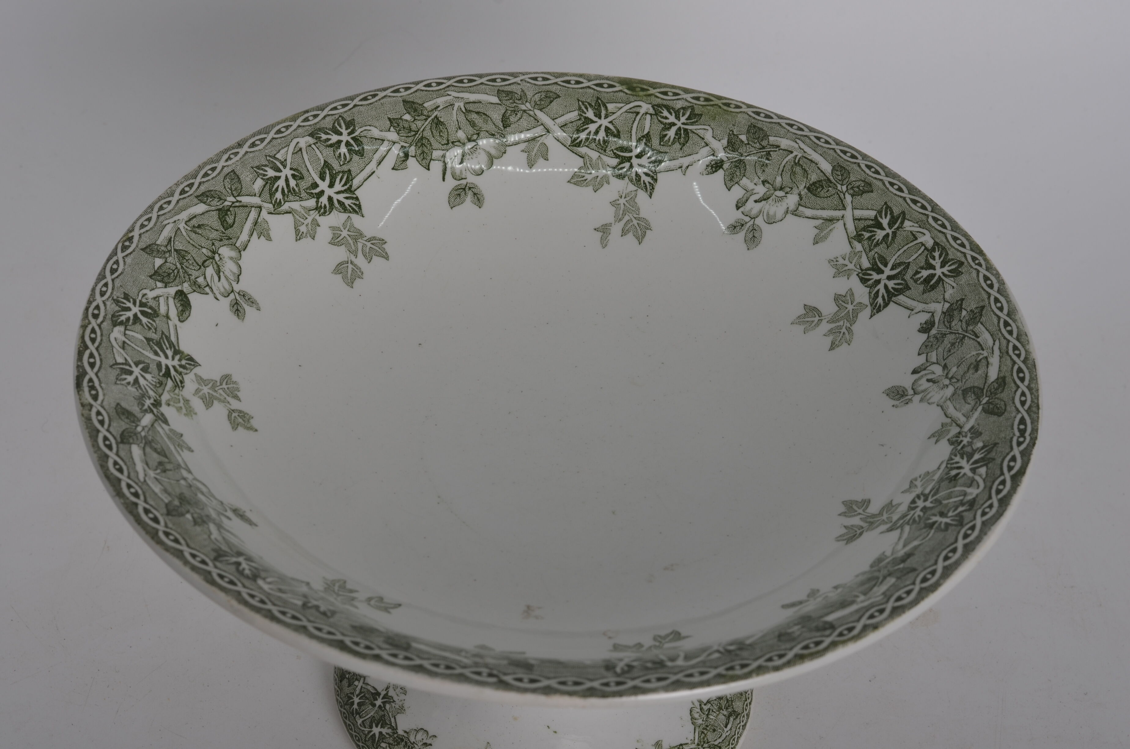 Piédouche terre de fer