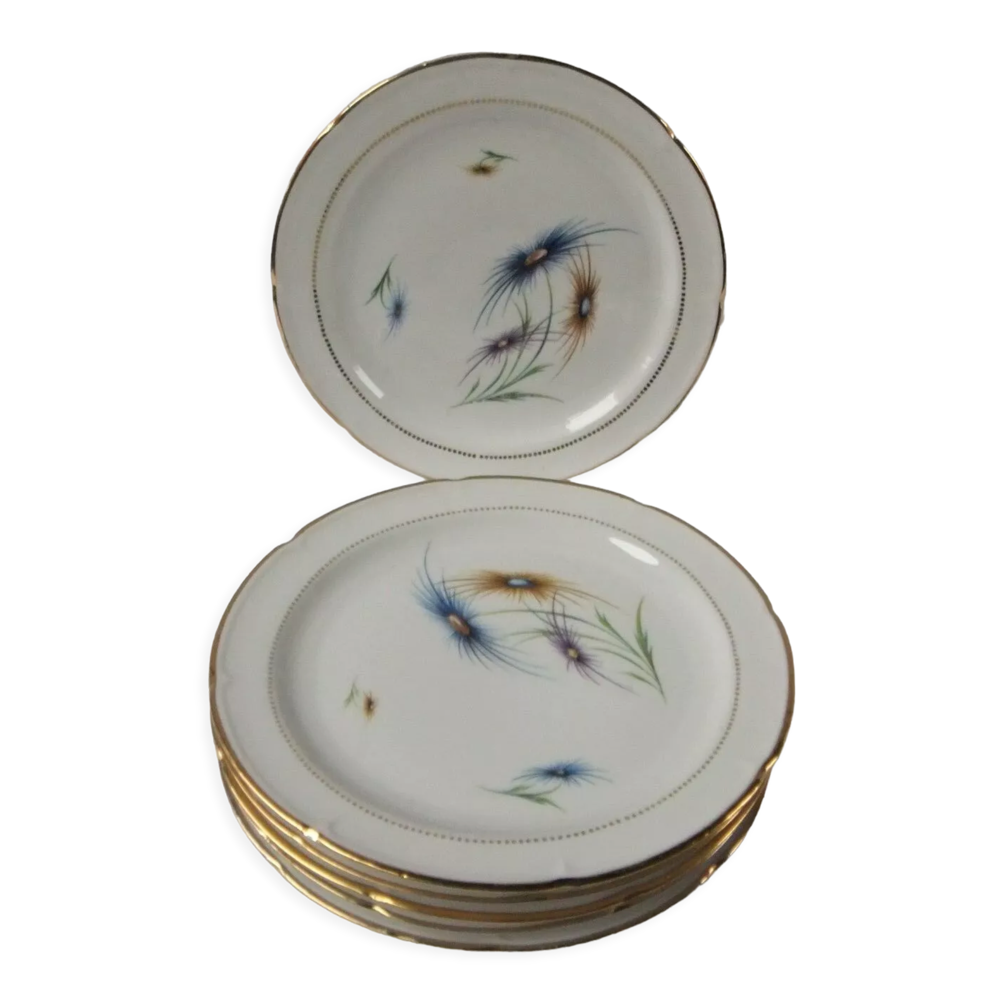 6 Limoge plates service porcelain cover