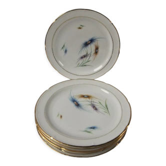 6 Limoge plates service porcelain cover