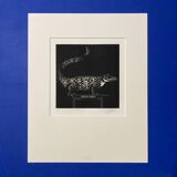 Mario avati (1921-2009), alligator, black and white, 1970