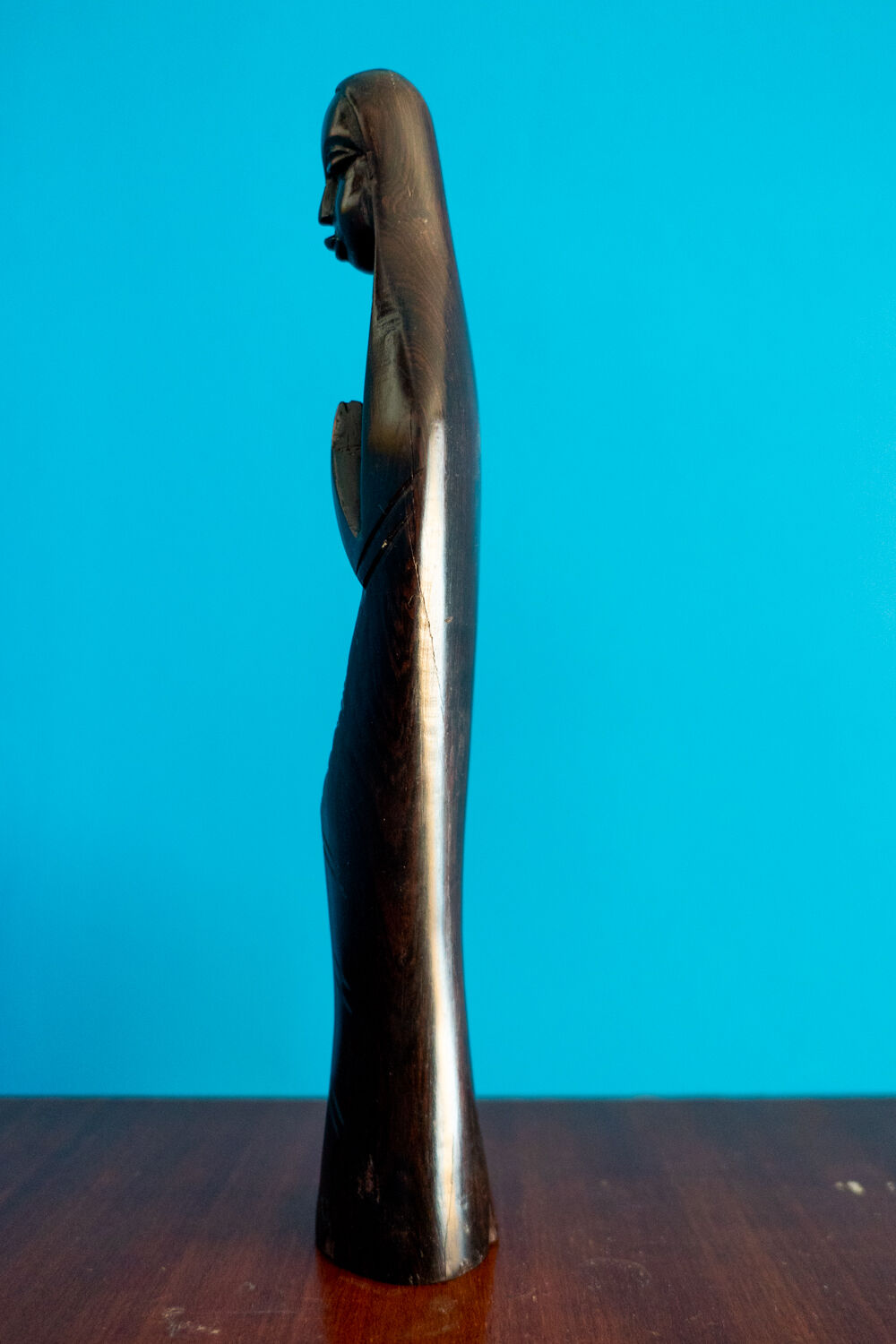 Black virgin in ebony