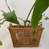 XL rattan trunk basket