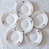 6 vintage tricolor flower plates