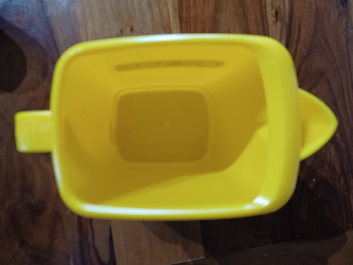 Yellow pitcher Ricard