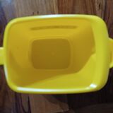 Yellow pitcher Ricard