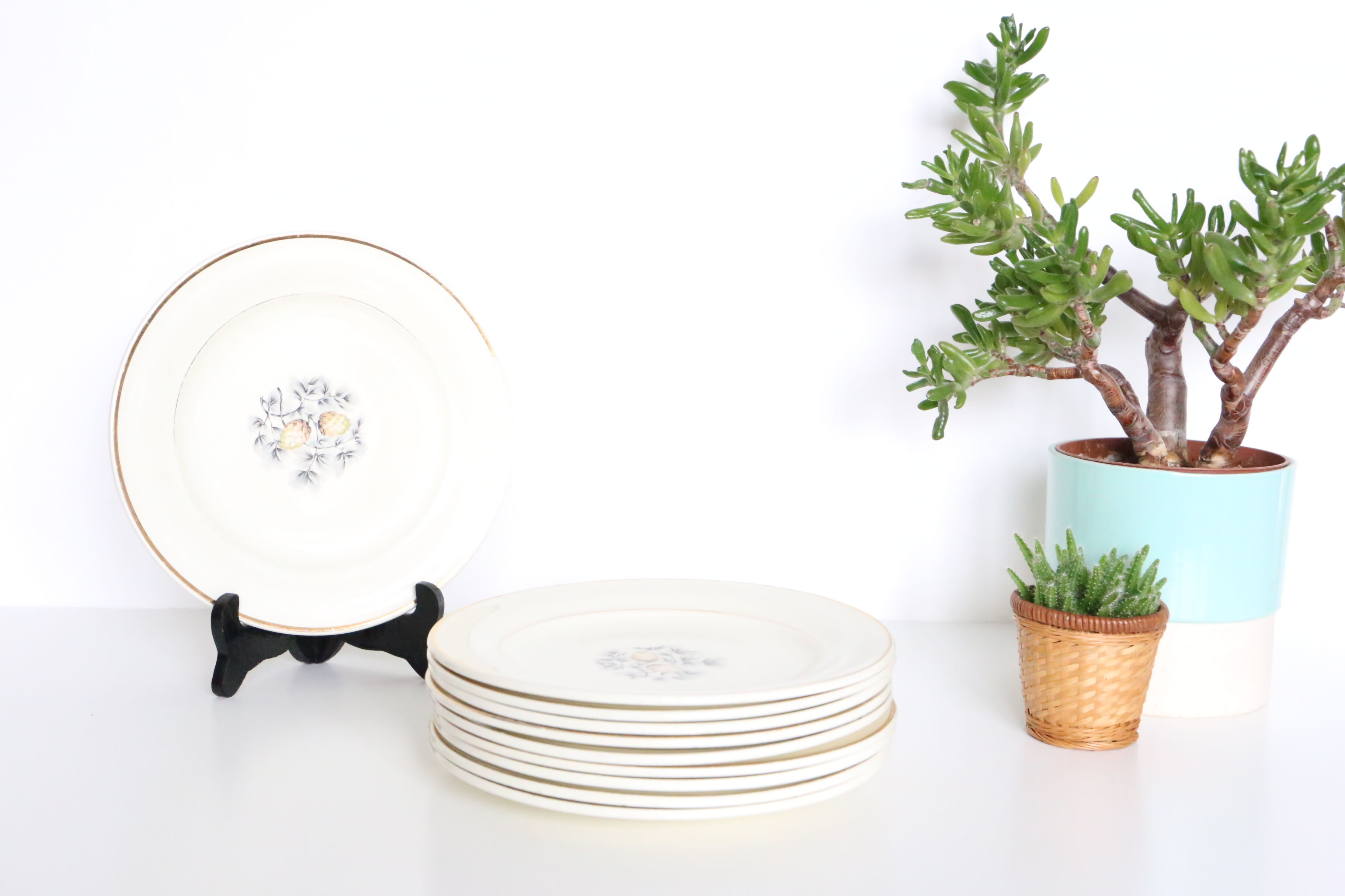Dessert plates, set of 10, Ceranord Saint Amand