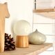 Pair of lamps with wooden base and glass globe, 1970s