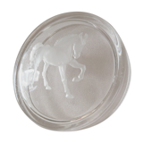 Empty horse pocket