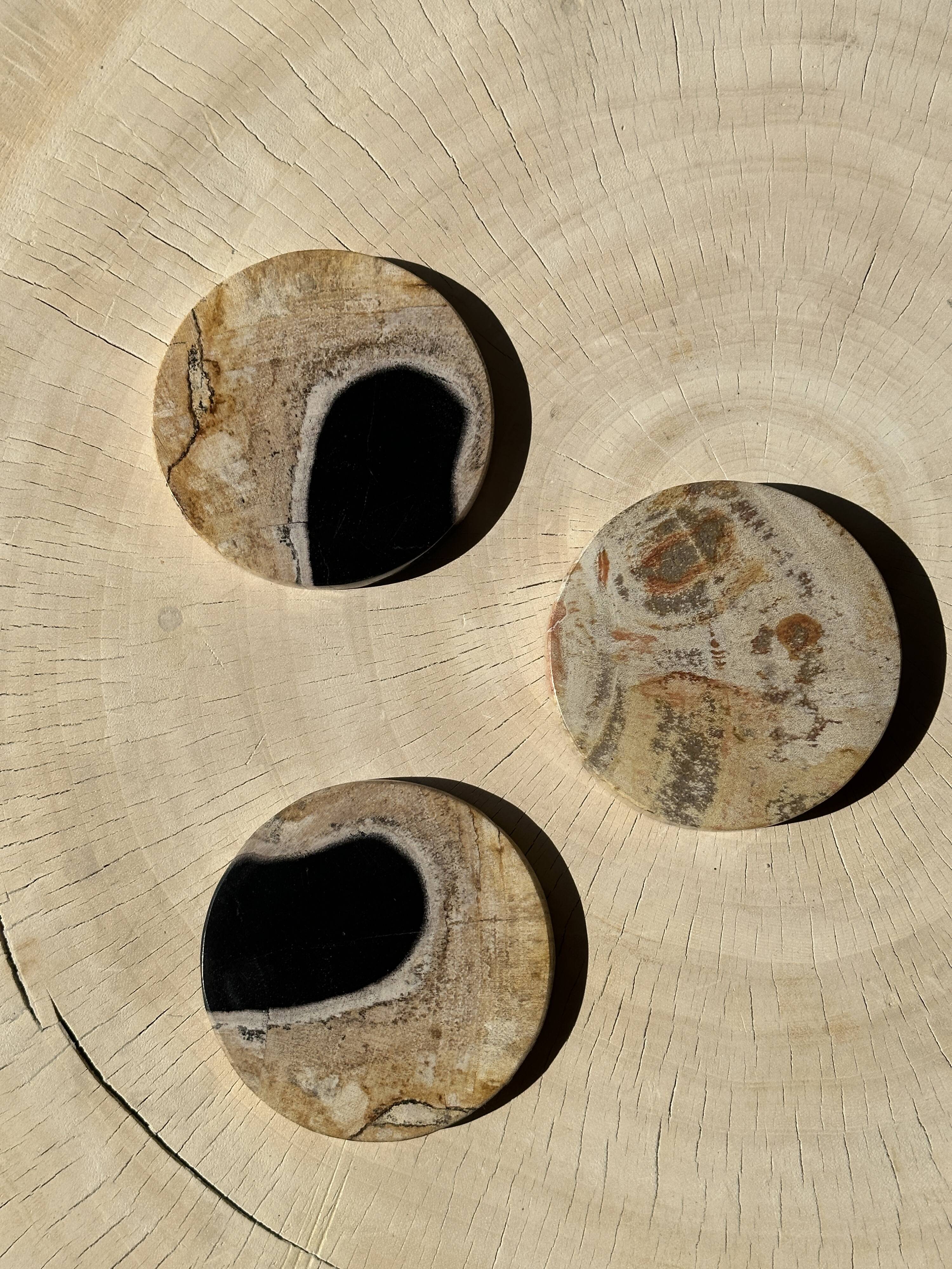 Set of 3 fossilized wood coasters (clear)