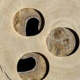 Set of 3 fossilized wood coasters (clear)