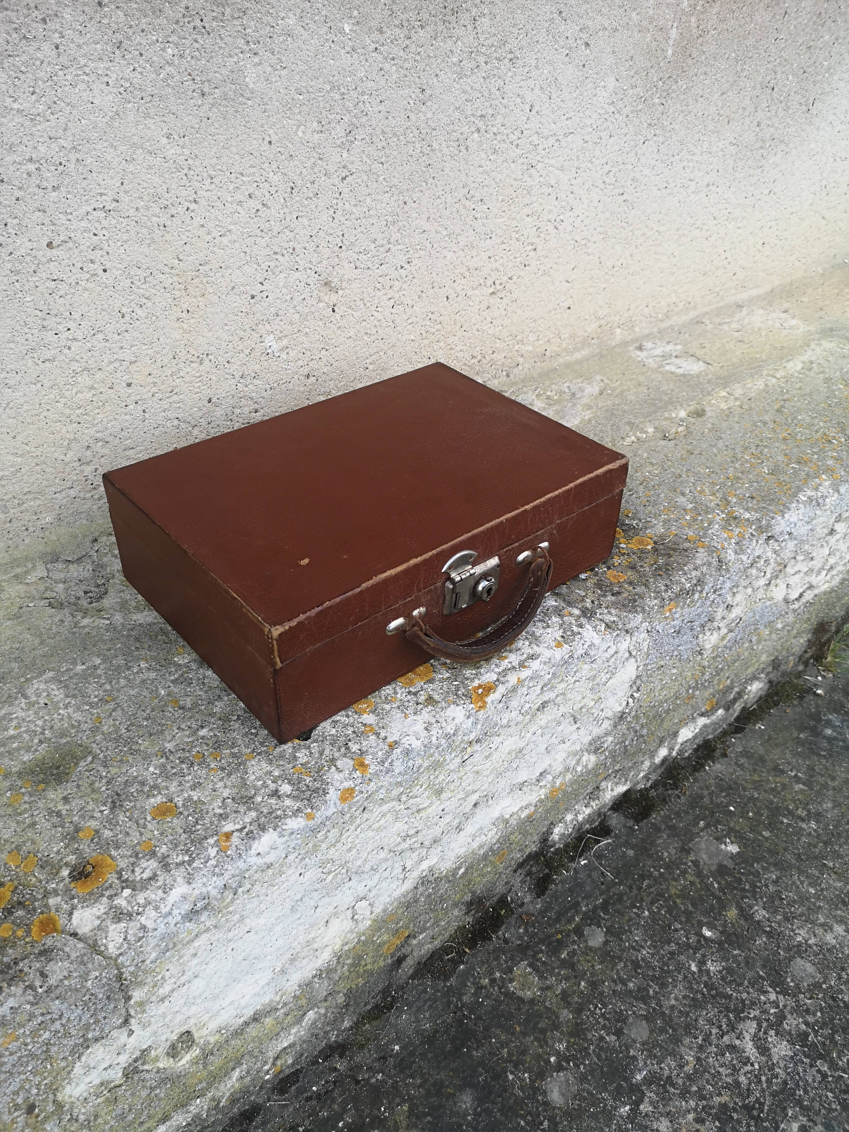 Vintage Toilet Suitcase