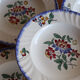 Set of 5 Longwy plates model Spring