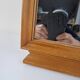 Mid-Century Walnut Mirror from 1960s Czechoslovakia, Organic Curved Frame