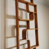 Room Divider by Ludvik Volak for Drevopodnik Holesov, 1950s
