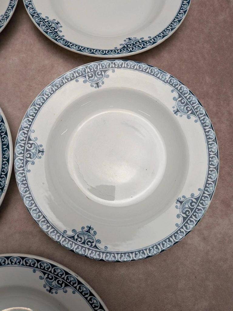 Set of 9 deep plates Terre de Fer St Amand model Andrinople