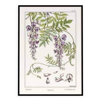 Poster “Wlycine”, after an Art Nouveau lithograph from 1897