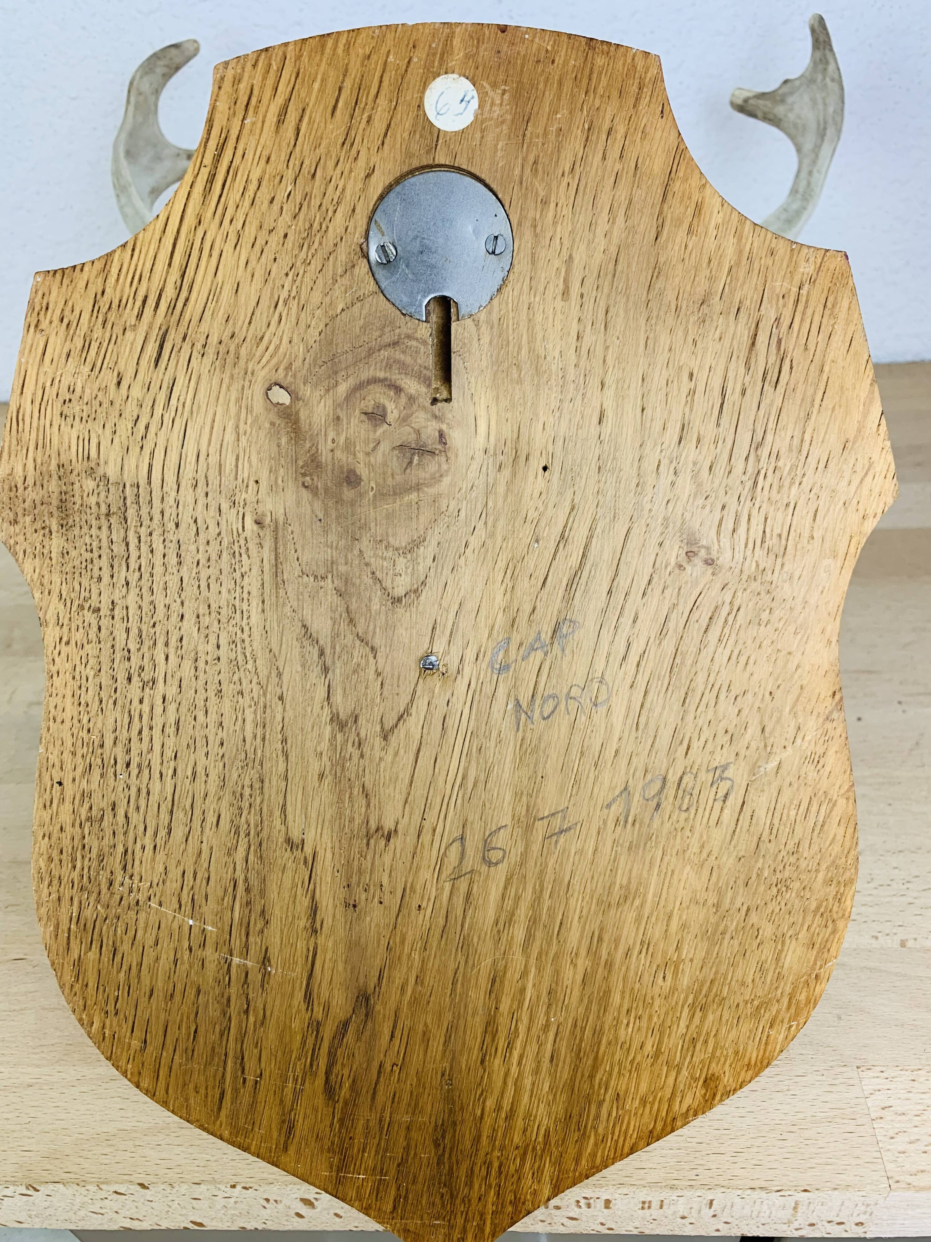 Reindeer trophy on wooden crest