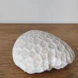 Boule de corail blanc