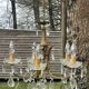 5-light bronze chandelier with glass tassels