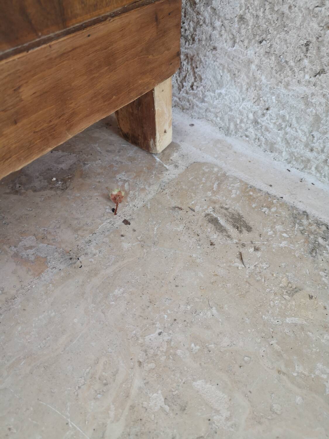 Antique chest of drawers in wood and veneer