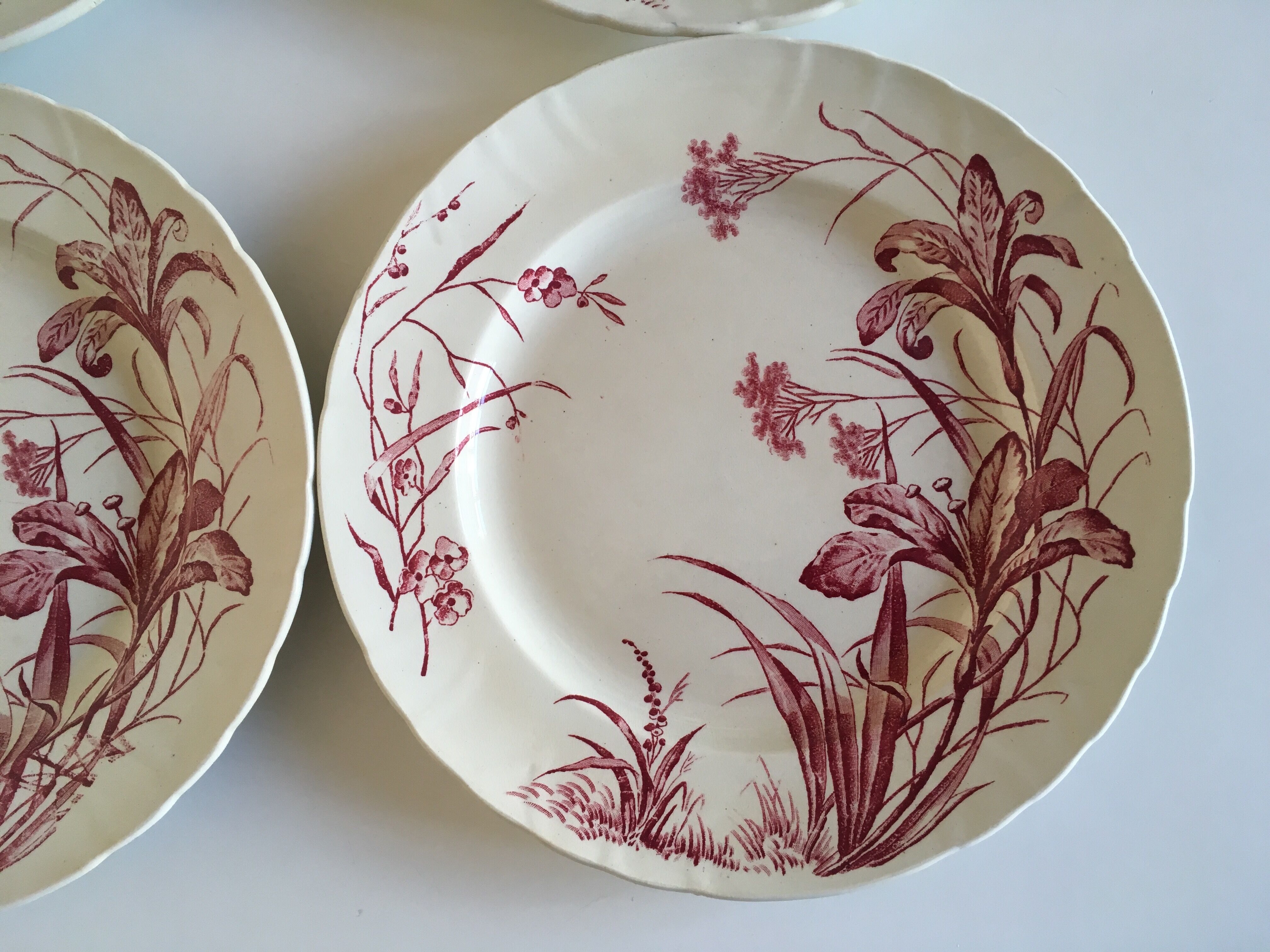 Flat plates J Vieillard Bordeaux, 1850