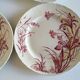 Flat plates J Vieillard Bordeaux, 1850