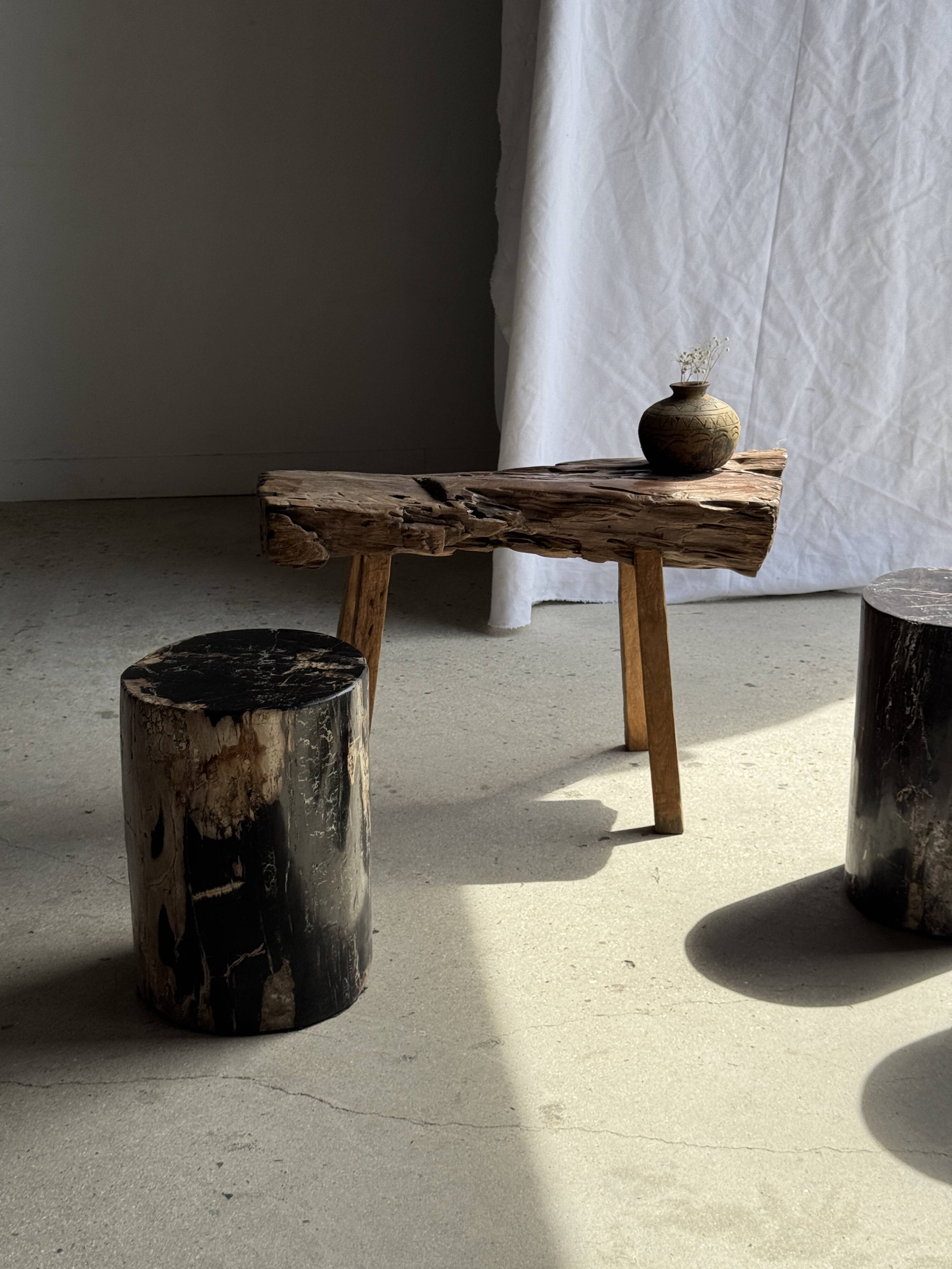Black petrified wood side table with beige side H35 D24 - 3352