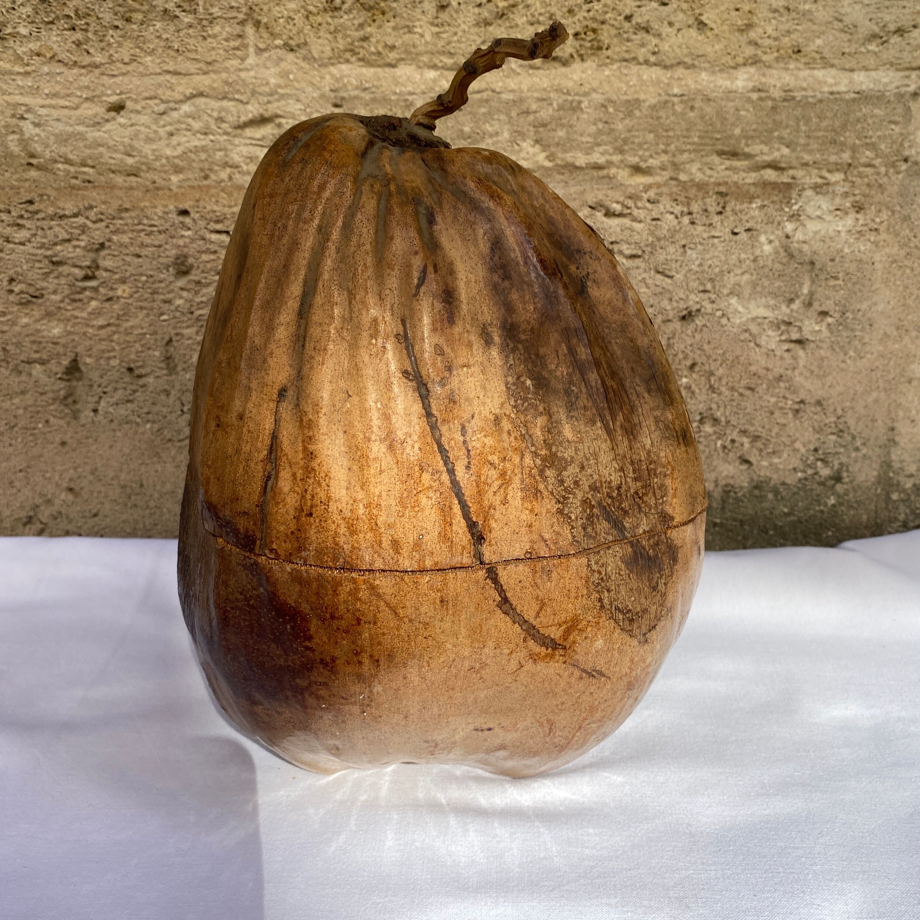 Coconut ice bucket