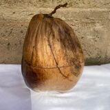 Coconut ice bucket
