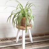 Tripod stool