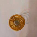 spiral cockroach