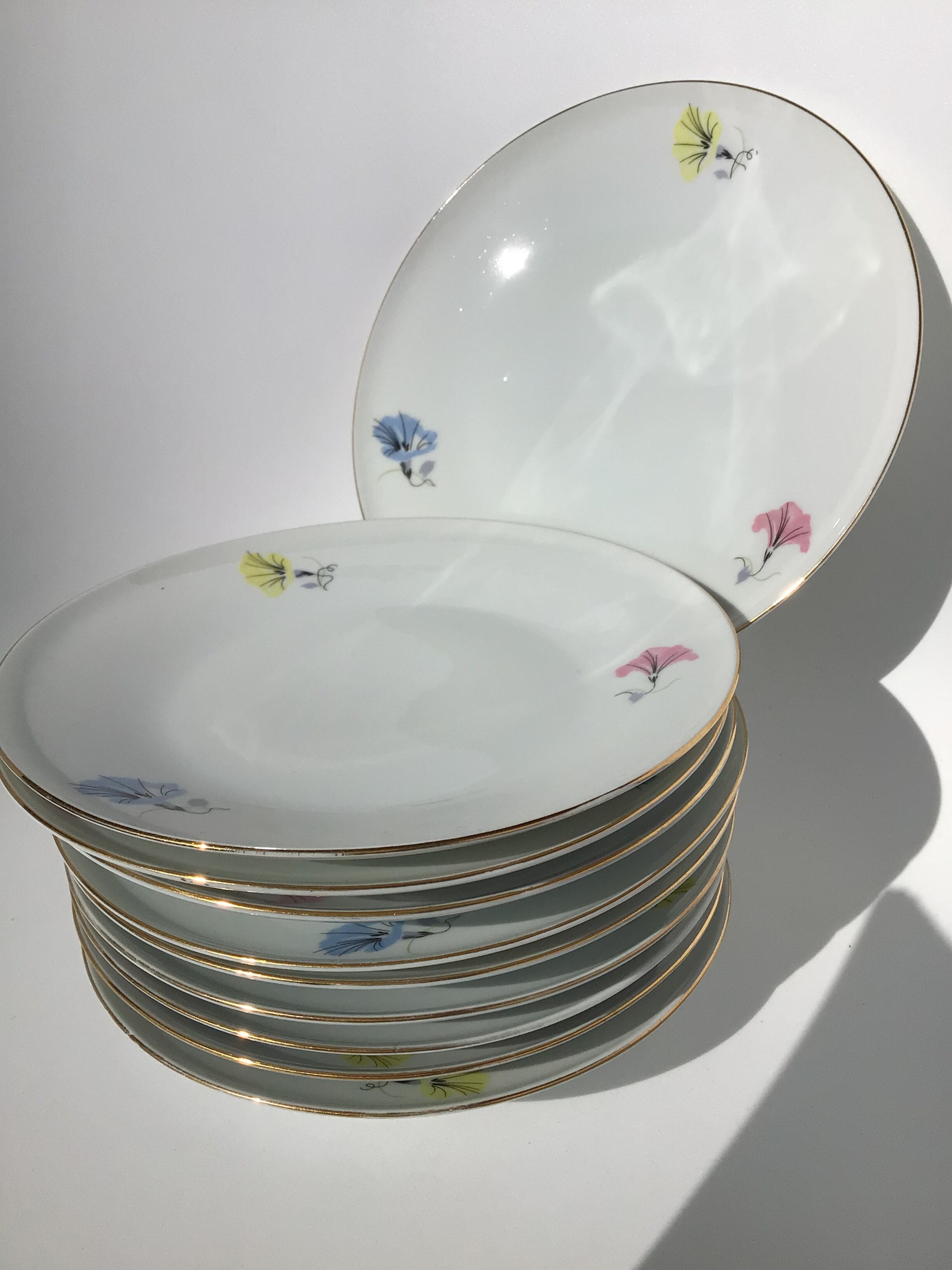 10 plates dessert porcelain decoration flowers 50's melitta