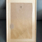 Vintage frame lithograph flowers