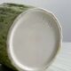 Asparagus slushy condiment pot.
