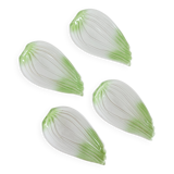 Set of 4 vegetable slip bowls