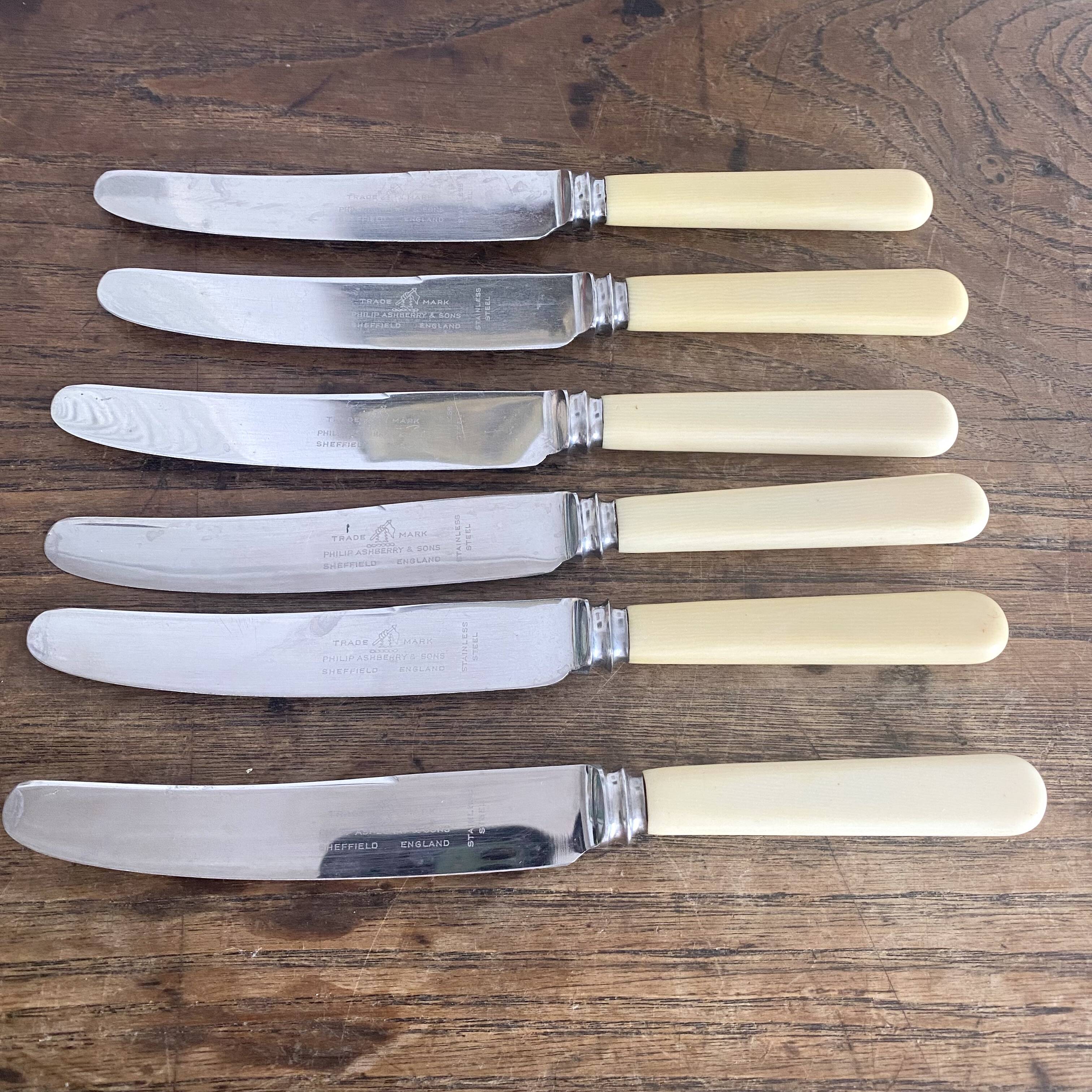 6 Philip Ashberry & Sons knives made in Sheffield England 21 cm